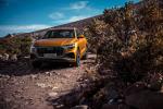 Audi Q8 50 TDI Quattro S-Line 2018 года (WW)